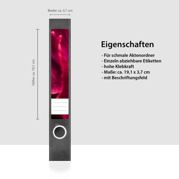 Etiketten für Ordner | Papageien Tulpe | 7 Aufkleber für schmale Ordnerrücken | Selbstklebende Design Ordneretiketten Rückenschilder