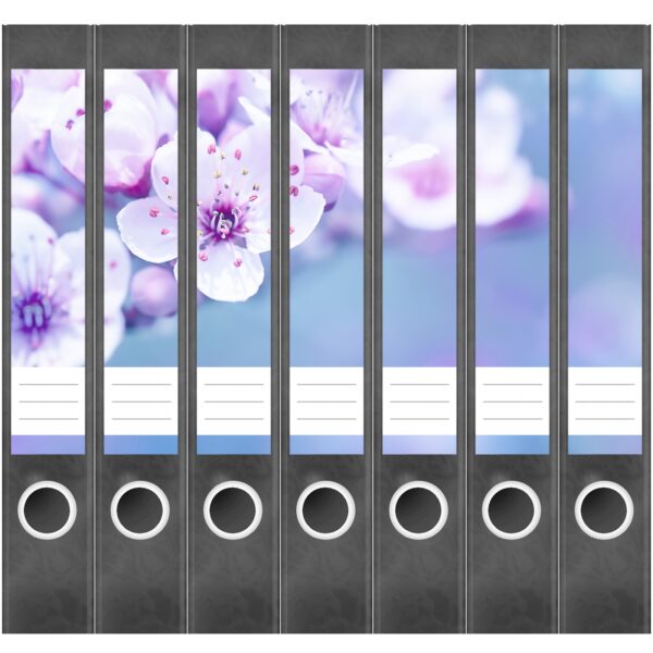 Etiketten für Ordner | Kirschblüten hell | 7 Aufkleber für schmale Ordnerrücken | Selbstklebende Design Ordneretiketten Rückenschilder