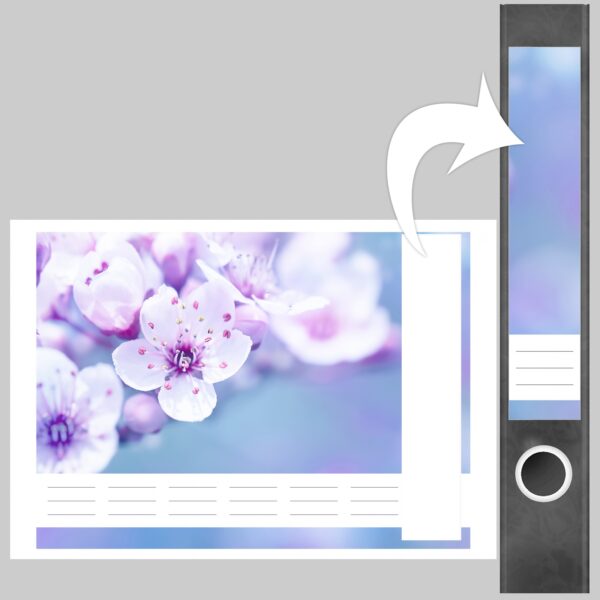 Etiketten für Ordner | Kirschblüten hell | 7 Aufkleber für schmale Ordnerrücken | Selbstklebende Design Ordneretiketten Rückenschilder