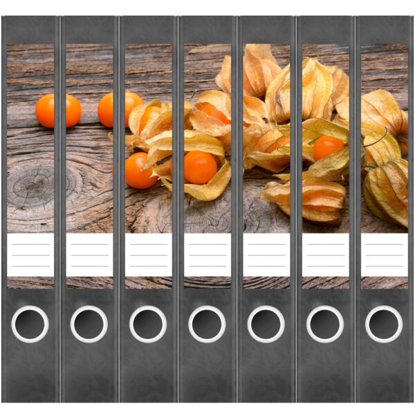 Etiketten für Ordner | Physalis | 7 Aufkleber für schmale Ordnerrücken | Selbstklebende Design Ordneretiketten Rückenschilder