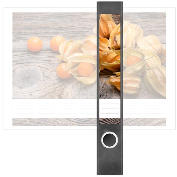 Etiketten für Ordner | Physalis | 7 Aufkleber für schmale Ordnerrücken | Selbstklebende Design Ordneretiketten Rückenschilder