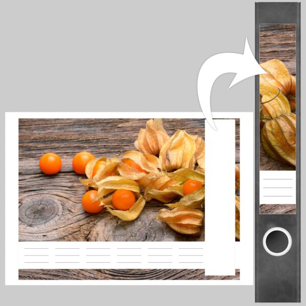 Etiketten für Ordner | Physalis | 7 Aufkleber für schmale Ordnerrücken | Selbstklebende Design Ordneretiketten Rückenschilder