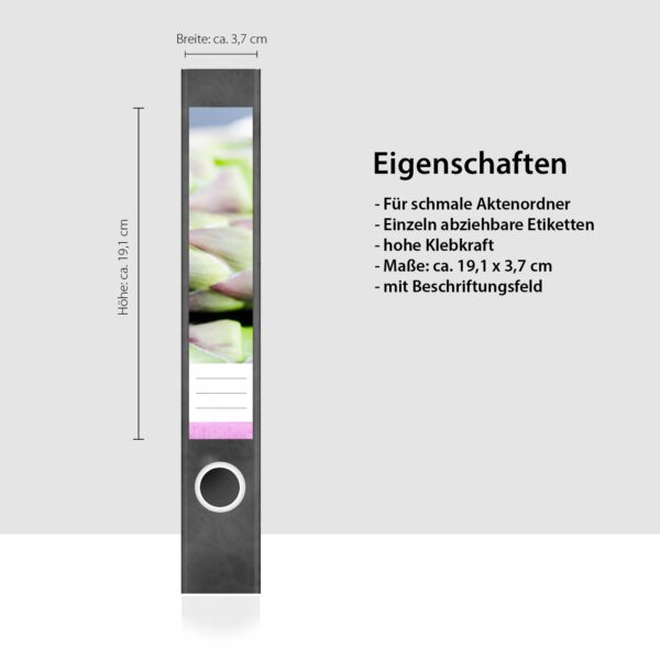 Etiketten für Ordner | Spargel Spitzen | 7 Aufkleber für schmale Ordnerrücken | Selbstklebende Design Ordneretiketten Rückenschilder