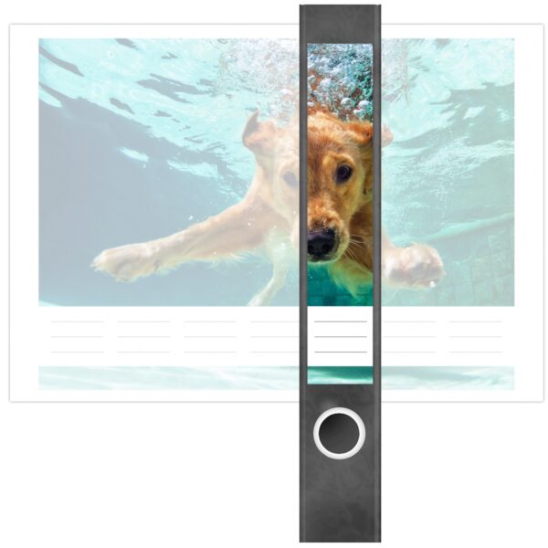Etiketten für Ordner | Hund unter Wasser | 7 Aufkleber für schmale Ordnerrücken | Selbstklebende Design Ordneretiketten Rückenschilder