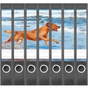 Etiketten für Ordner | Hund am Meer | 7 Aufkleber für schmale Ordnerrücken | Selbstklebende Design Ordneretiketten Rückenschilder