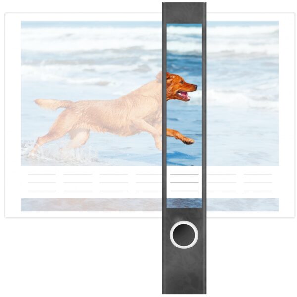 Etiketten für Ordner | Hund am Meer | 7 Aufkleber für schmale Ordnerrücken | Selbstklebende Design Ordneretiketten Rückenschilder