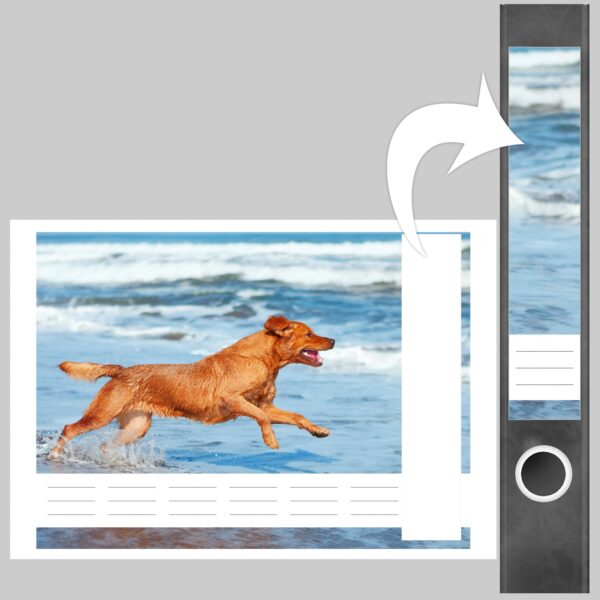 Etiketten für Ordner | Hund am Meer | 7 Aufkleber für schmale Ordnerrücken | Selbstklebende Design Ordneretiketten Rückenschilder