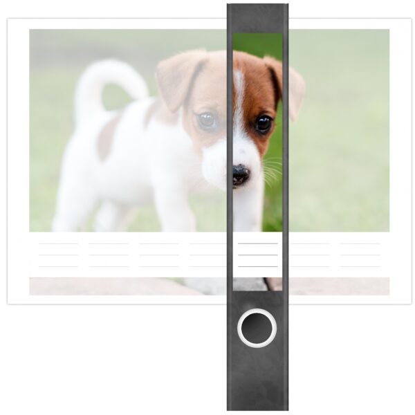 Etiketten für Ordner | Hunde Welpe | 7 Aufkleber für schmale Ordnerrücken | Selbstklebende Design Ordneretiketten Rückenschilder