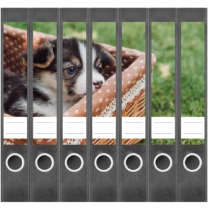 Etiketten für Ordner | Hunde Welpe im Korb | 7 Aufkleber für schmale Ordnerrücken | Selbstklebende Design Ordneretiketten Rückenschilder
