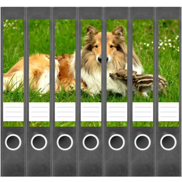 Etiketten für Ordner | Hund Collie auf Wiese | 7 Aufkleber für schmale Ordnerrücken | Selbstklebende Design Ordneretiketten Rückenschilder