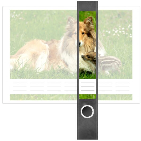 Etiketten für Ordner | Hund Collie auf Wiese | 7 Aufkleber für schmale Ordnerrücken | Selbstklebende Design Ordneretiketten Rückenschilder