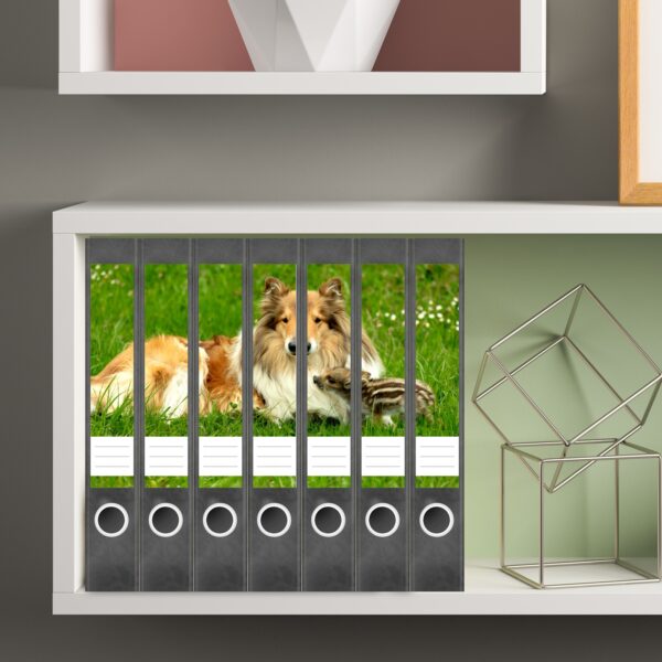 Etiketten für Ordner | Hund Collie auf Wiese | 7 Aufkleber für schmale Ordnerrücken | Selbstklebende Design Ordneretiketten Rückenschilder