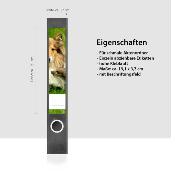 Etiketten für Ordner | Hund Collie auf Wiese | 7 Aufkleber für schmale Ordnerrücken | Selbstklebende Design Ordneretiketten Rückenschilder
