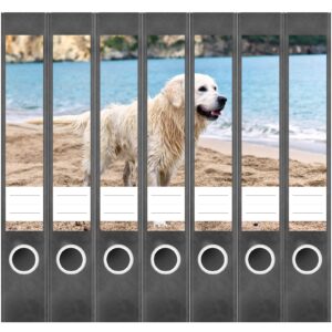 Etiketten für Ordner | Golden Retriever Hund | 7 Aufkleber für schmale Ordnerrücken | Selbstklebende Design Ordneretiketten Rückenschilder
