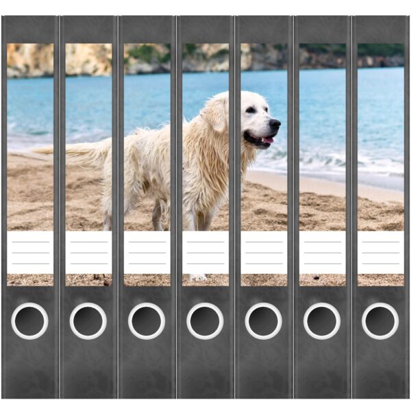 Etiketten für Ordner | Golden Retriever Hund | 7 Aufkleber für schmale Ordnerrücken | Selbstklebende Design Ordneretiketten Rückenschilder