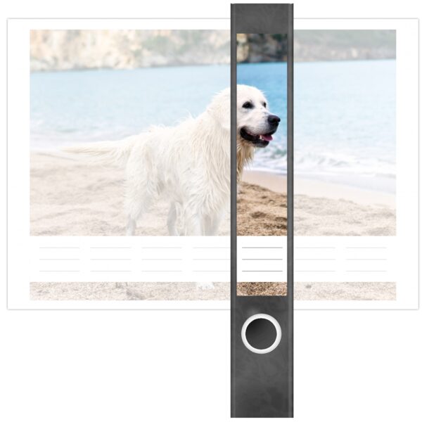 Etiketten für Ordner | Golden Retriever Hund | 7 Aufkleber für schmale Ordnerrücken | Selbstklebende Design Ordneretiketten Rückenschilder