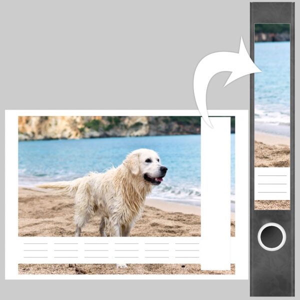 Etiketten für Ordner | Golden Retriever Hund | 7 Aufkleber für schmale Ordnerrücken | Selbstklebende Design Ordneretiketten Rückenschilder