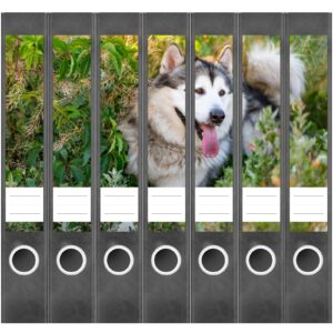 Etiketten für Ordner | Niedlicher Hund | 7 Aufkleber für schmale Ordnerrücken | Selbstklebende Design Ordneretiketten Rückenschilder