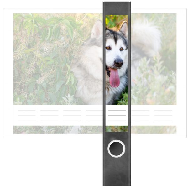 Etiketten für Ordner | Niedlicher Hund | 7 Aufkleber für schmale Ordnerrücken | Selbstklebende Design Ordneretiketten Rückenschilder