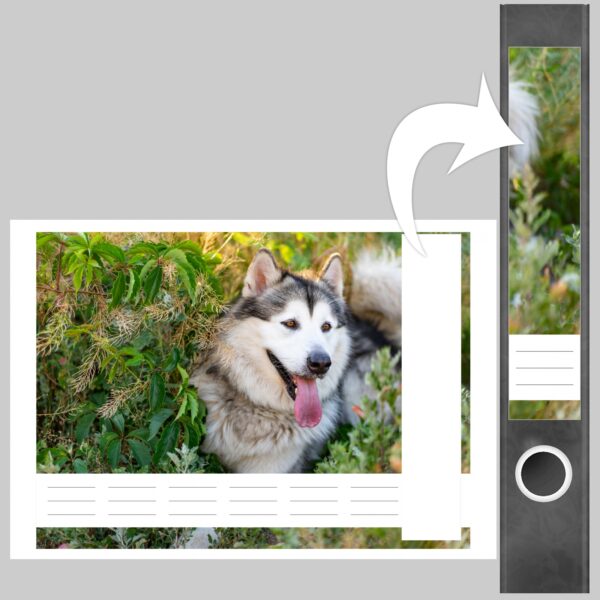 Etiketten für Ordner | Niedlicher Hund | 7 Aufkleber für schmale Ordnerrücken | Selbstklebende Design Ordneretiketten Rückenschilder