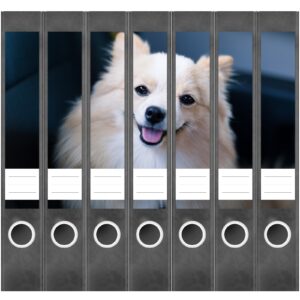 Etiketten für Ordner | Lachender Hund | 7 Aufkleber für schmale Ordnerrücken | Selbstklebende Design Ordneretiketten Rückenschilder