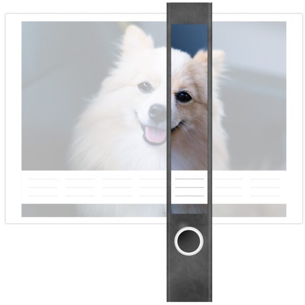 Etiketten für Ordner | Lachender Hund | 7 Aufkleber für schmale Ordnerrücken | Selbstklebende Design Ordneretiketten Rückenschilder
