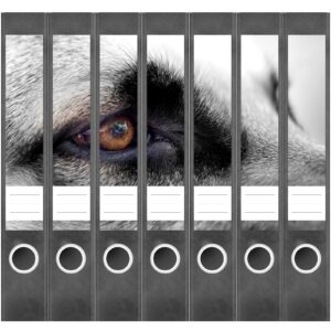 Etiketten für Ordner | Hunde Auge nah | 7 Aufkleber für schmale Ordnerrücken | Selbstklebende Design Ordneretiketten Rückenschilder