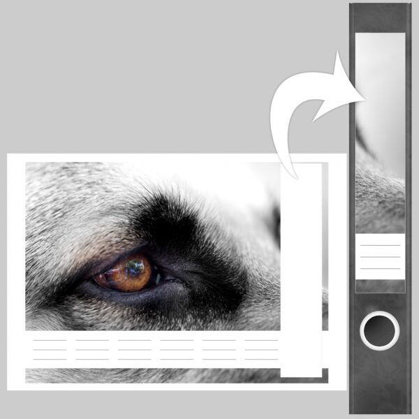 Etiketten für Ordner | Hunde Auge nah | 7 Aufkleber für schmale Ordnerrücken | Selbstklebende Design Ordneretiketten Rückenschilder