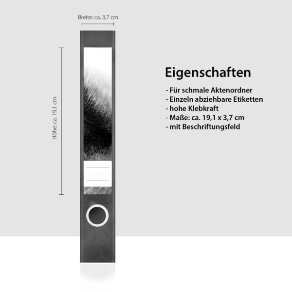 Etiketten für Ordner | Hunde Auge nah | 7 Aufkleber für schmale Ordnerrücken | Selbstklebende Design Ordneretiketten Rückenschilder