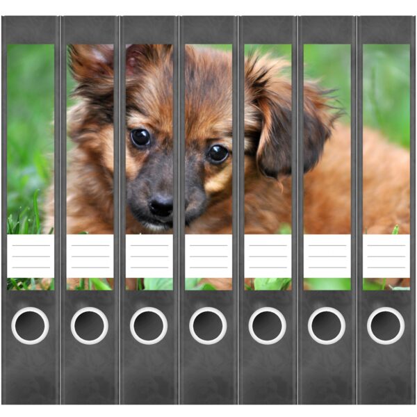 Etiketten für Ordner | Verspielter Hund | 7 Aufkleber für schmale Ordnerrücken | Selbstklebende Design Ordneretiketten Rückenschilder
