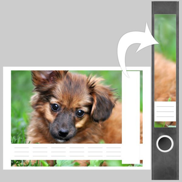Etiketten für Ordner | Verspielter Hund | 7 Aufkleber für schmale Ordnerrücken | Selbstklebende Design Ordneretiketten Rückenschilder