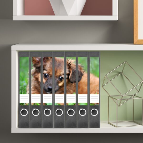 Etiketten für Ordner | Verspielter Hund | 7 Aufkleber für schmale Ordnerrücken | Selbstklebende Design Ordneretiketten Rückenschilder