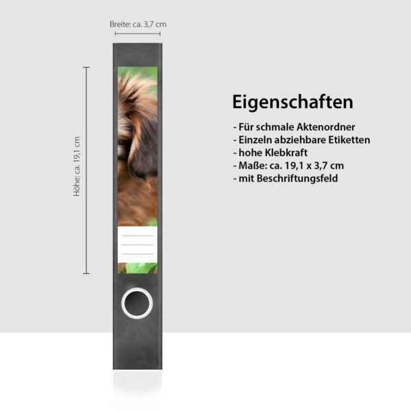 Etiketten für Ordner | Verspielter Hund | 7 Aufkleber für schmale Ordnerrücken | Selbstklebende Design Ordneretiketten Rückenschilder