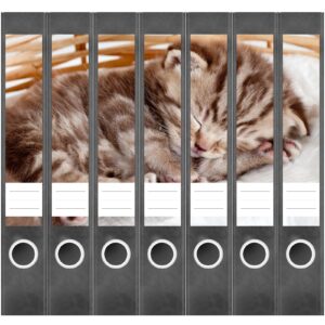 Etiketten für Ordner | schlafendes Kätzchen | 7 Aufkleber für schmale Ordnerrücken | Selbstklebende Design Ordneretiketten Rückenschilder