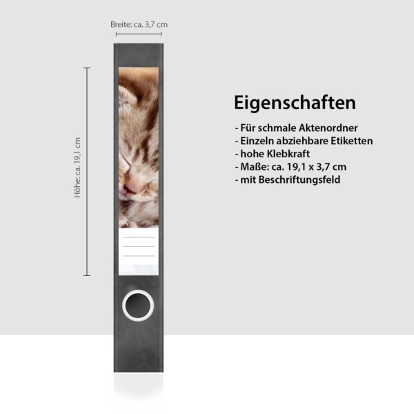 Etiketten für Ordner | schlafendes Kätzchen | 7 Aufkleber für schmale Ordnerrücken | Selbstklebende Design Ordneretiketten Rückenschilder