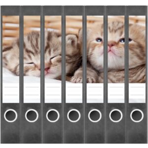 Etiketten für Ordner | Katze im Korb | 7 Aufkleber für schmale Ordnerrücken | Selbstklebende Design Ordneretiketten Rückenschilder