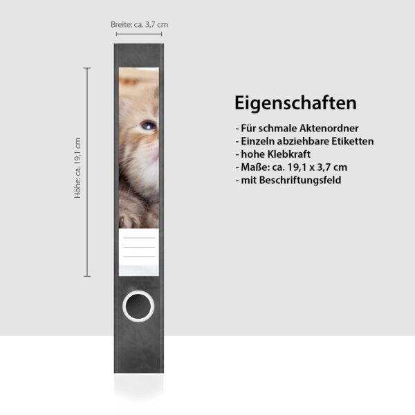 Etiketten für Ordner | Katze im Korb | 7 Aufkleber für schmale Ordnerrücken | Selbstklebende Design Ordneretiketten Rückenschilder