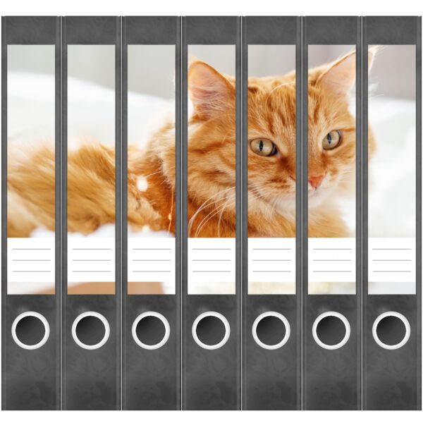 Etiketten für Ordner | Katze auf Kissen | 7 Aufkleber für schmale Ordnerrücken | Selbstklebende Design Ordneretiketten Rückenschilder