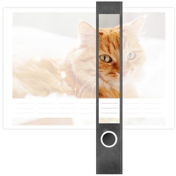 Etiketten für Ordner | Katze auf Kissen | 7 Aufkleber für schmale Ordnerrücken | Selbstklebende Design Ordneretiketten Rückenschilder