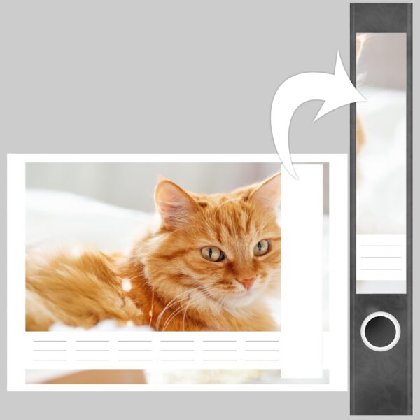 Etiketten für Ordner | Katze auf Kissen | 7 Aufkleber für schmale Ordnerrücken | Selbstklebende Design Ordneretiketten Rückenschilder