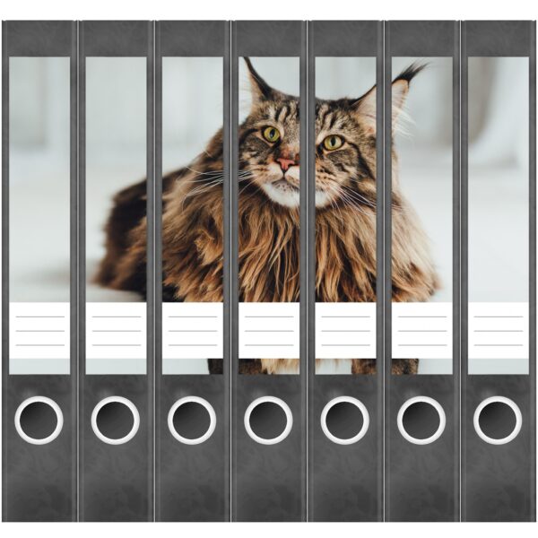 Etiketten für Ordner | braune Katze | 7 Aufkleber für schmale Ordnerrücken | Selbstklebende Design Ordneretiketten Rückenschilder
