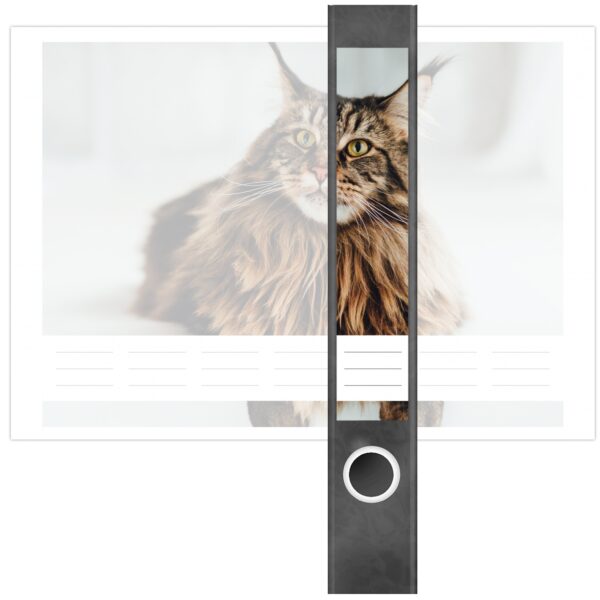 Etiketten für Ordner | braune Katze | 7 Aufkleber für schmale Ordnerrücken | Selbstklebende Design Ordneretiketten Rückenschilder