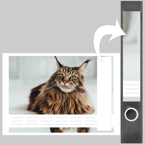 Etiketten für Ordner | braune Katze | 7 Aufkleber für schmale Ordnerrücken | Selbstklebende Design Ordneretiketten Rückenschilder