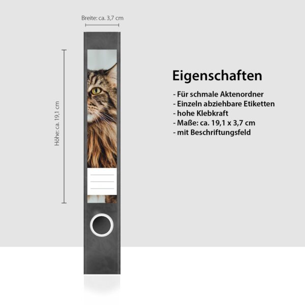 Etiketten für Ordner | braune Katze | 7 Aufkleber für schmale Ordnerrücken | Selbstklebende Design Ordneretiketten Rückenschilder