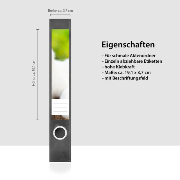 Etiketten für Ordner | Weiße Katze | 7 Aufkleber für schmale Ordnerrücken | Selbstklebende Design Ordneretiketten Rückenschilder