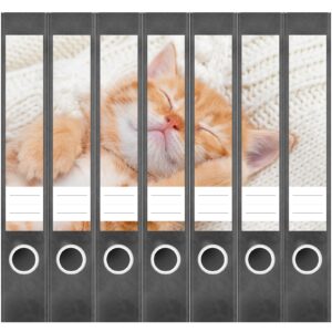 Etiketten für Ordner | Katzenbaby Katze | 7 Aufkleber für schmale Ordnerrücken | Selbstklebende Design Ordneretiketten Rückenschilder