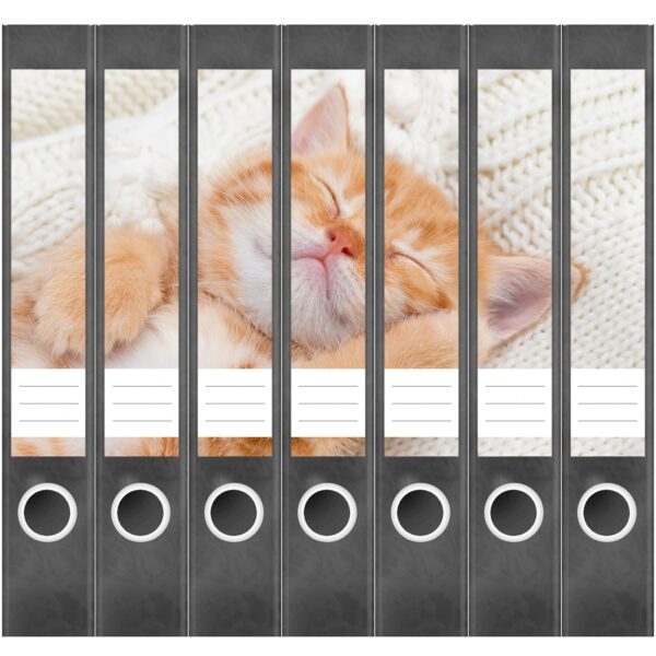 Etiketten für Ordner | Katzenbaby Katze | 7 Aufkleber für schmale Ordnerrücken | Selbstklebende Design Ordneretiketten Rückenschilder