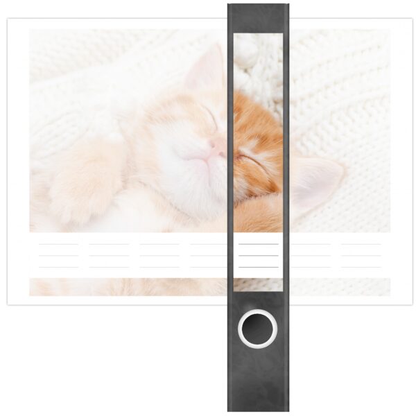 Etiketten für Ordner | Katzenbaby Katze | 7 Aufkleber für schmale Ordnerrücken | Selbstklebende Design Ordneretiketten Rückenschilder