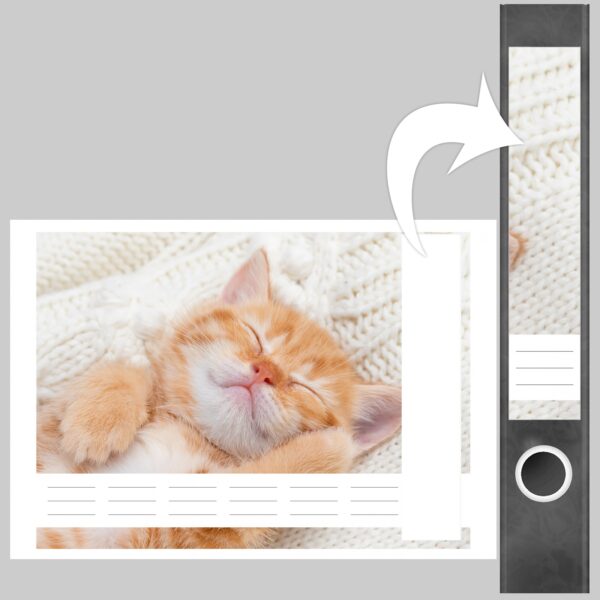 Etiketten für Ordner | Katzenbaby Katze | 7 Aufkleber für schmale Ordnerrücken | Selbstklebende Design Ordneretiketten Rückenschilder