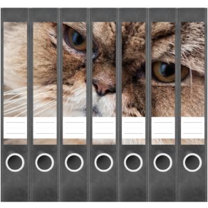 Etiketten für Ordner | Katze Groß | 7 Aufkleber für schmale Ordnerrücken | Selbstklebende Design Ordneretiketten Rückenschilder